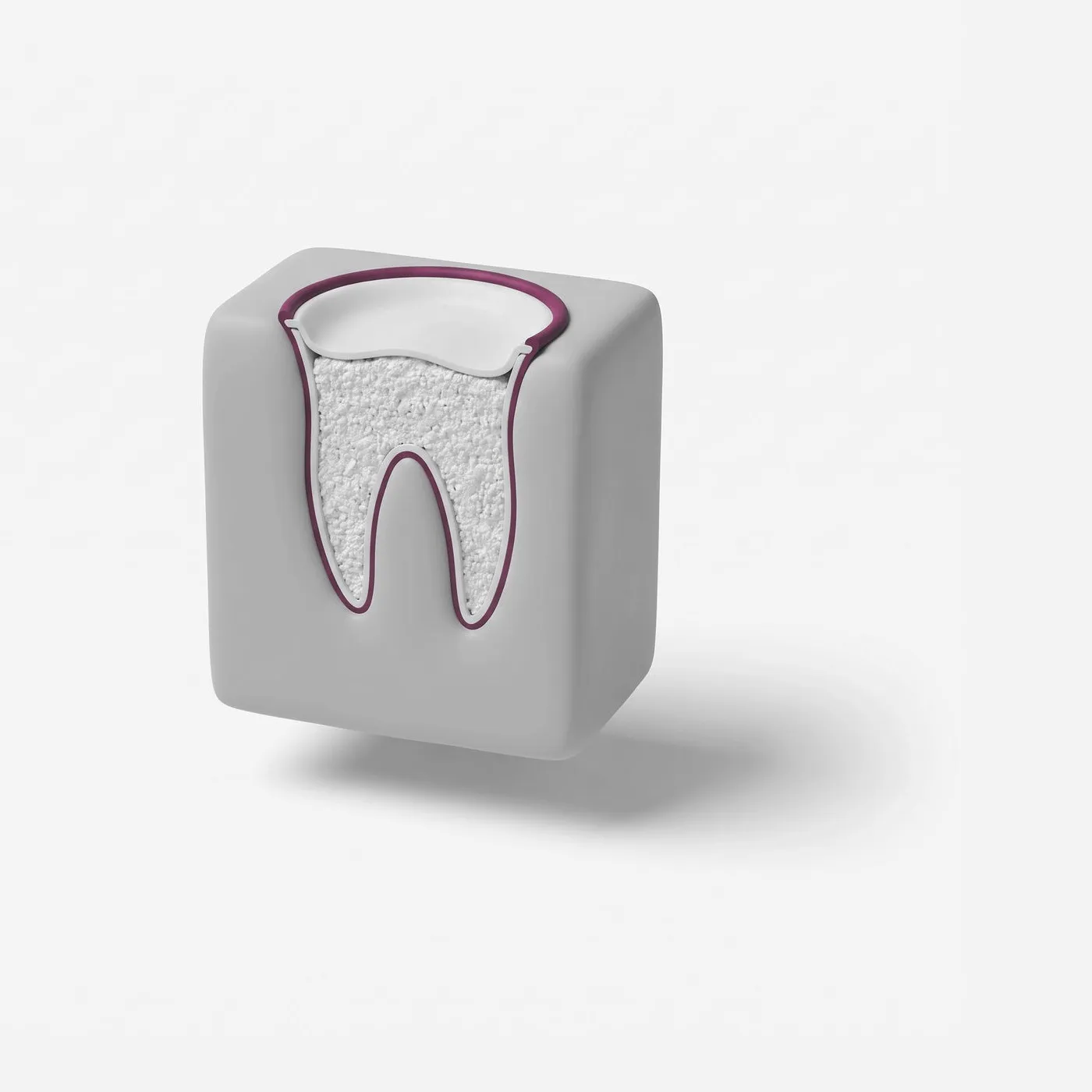 Socket Preservation – Bone Preservation After Extraction